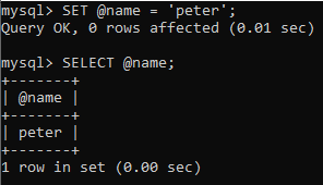 MySQL 变量(MySql基础教程文档)MySQL 变量学习手册 - 编程宝典